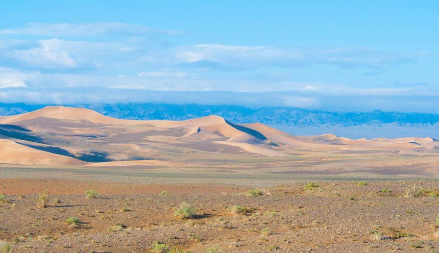 Mongolian Gobi Desert Tour — Soaring Expeditions, Mongolia