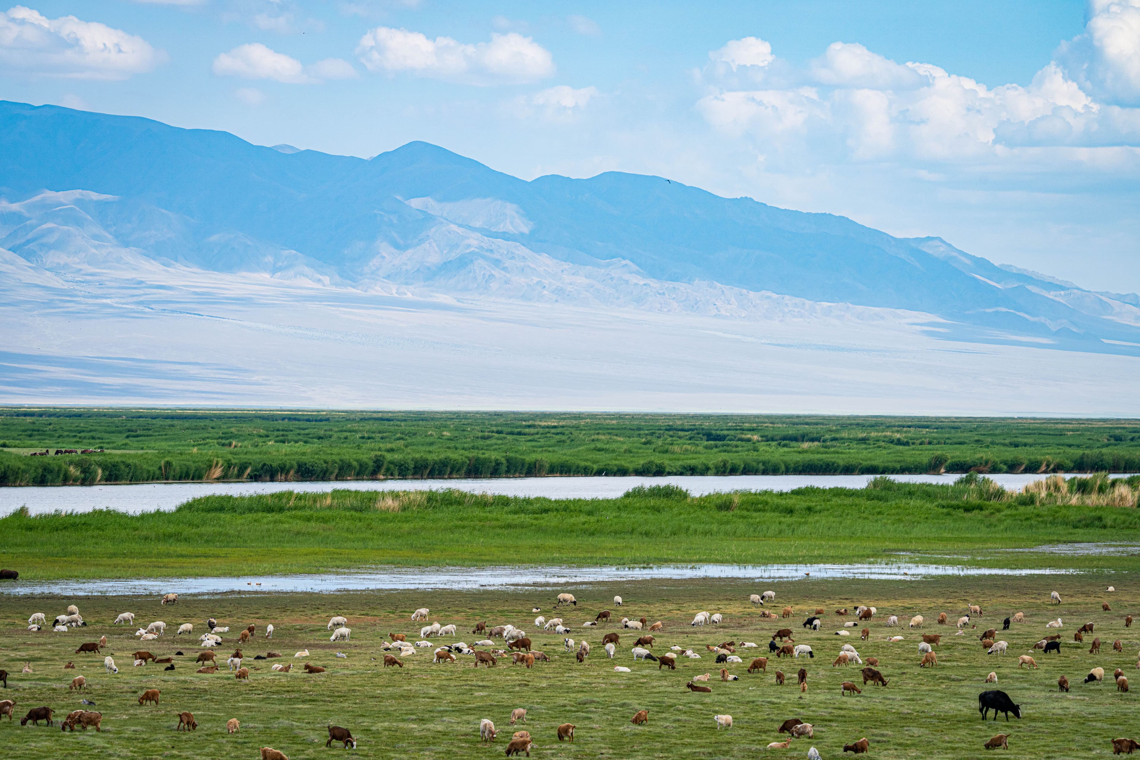 Mongolia Highlights Tour — Soaring Expeditions, Mongolia