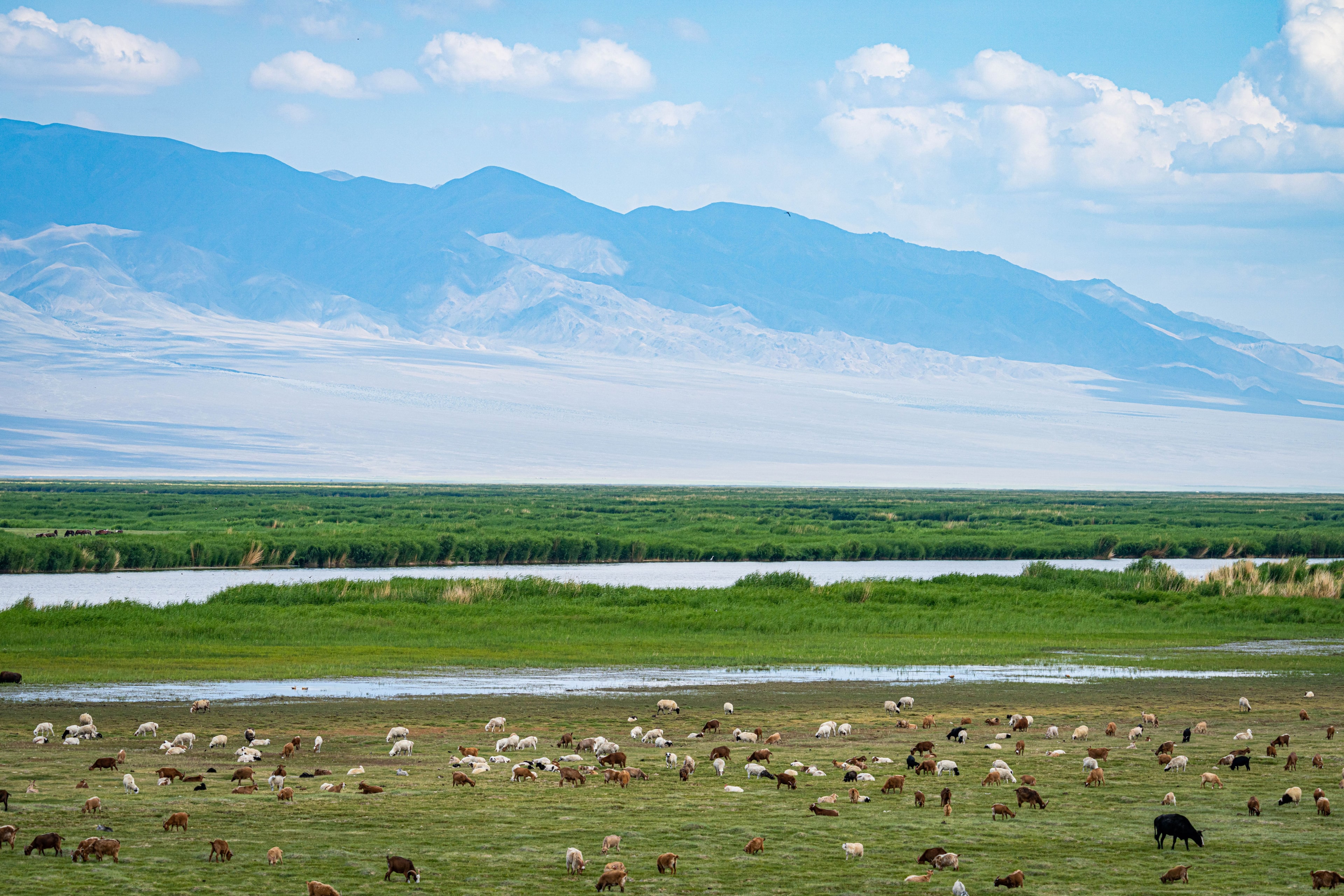 Mongolia Highlights Tour — Soaring Expeditions, Mongolia