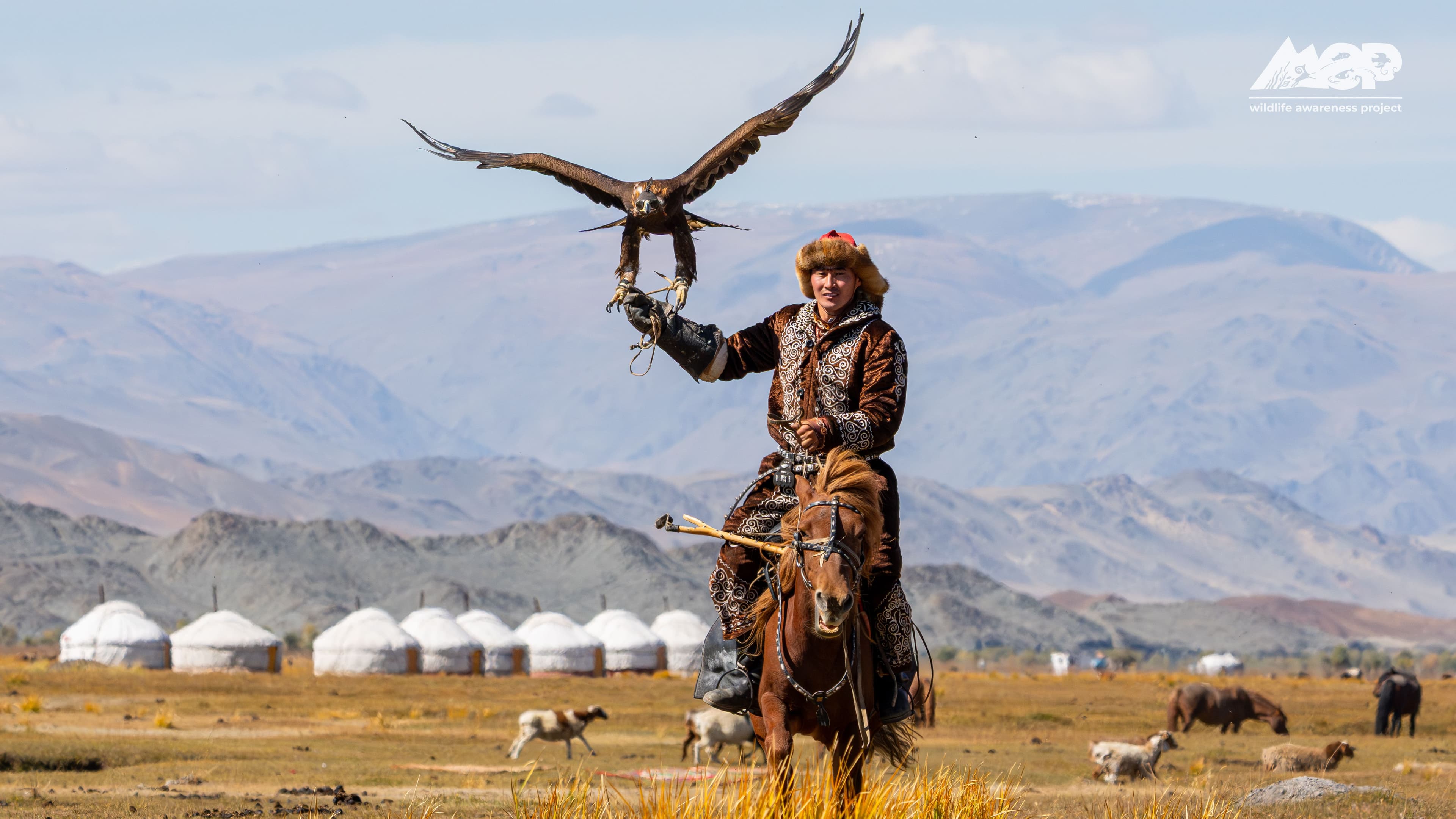 Eagle Festival & Beyond Tour — Soaring Expeditions, Mongolia