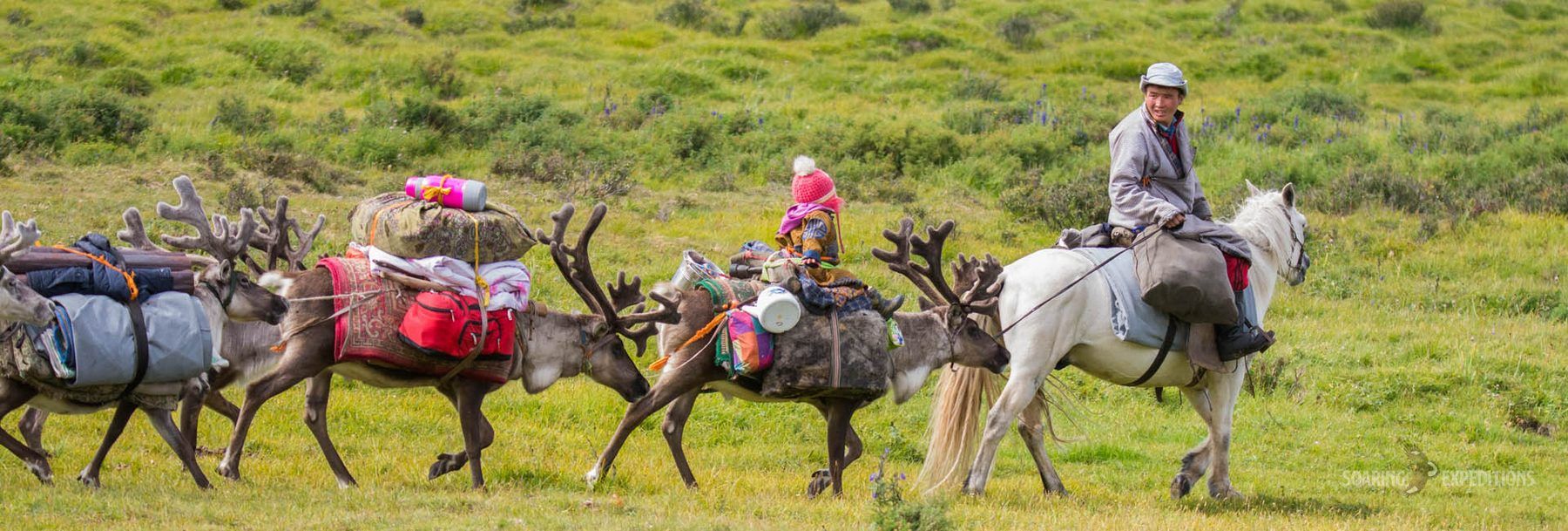 Mongolian Reindeer Herders Tour — Soaring Expeditions, Mongolia