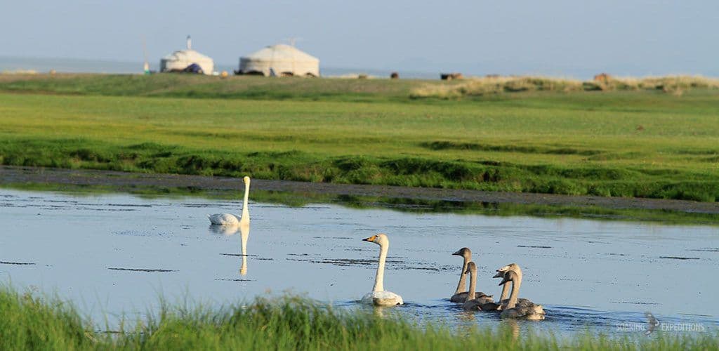 Mongolian Nomads' Spirits Tour — Soaring Expeditions, Mongolia