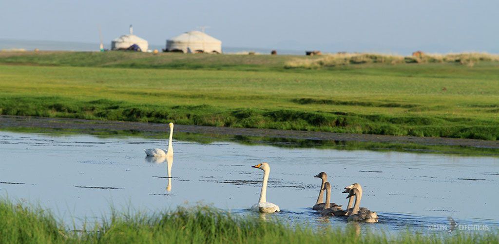 Mongolian Nomads' Spirits Tour — Soaring Expeditions, Mongolia