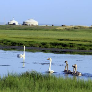 Taste of Mongolia Tour