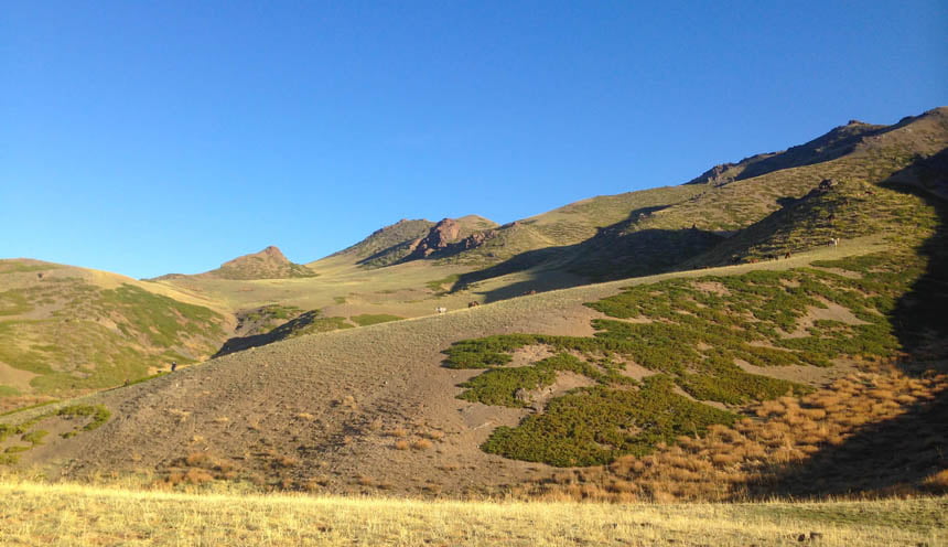 Mongolian Gobi Desert | Soaring Expeditions